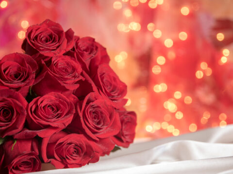 Red Roses In Valentine